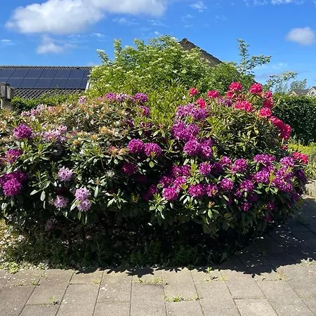 Spangkaerparken 53 * Hjørring