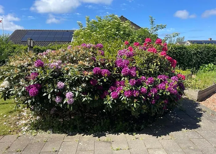 Spangkaerparken 53 * Hjørring